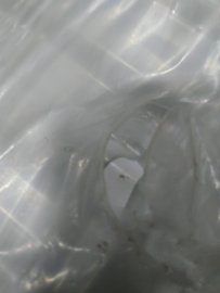 Уцененный товар (потертость): Стальной панельный радиатор ROMMER Ventil 22/200/1200 нижнее правое подключение, RRS-2020-222120