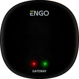 Универсальный интернет шлюз ENGO Controls Zigbee для ENGO Smart