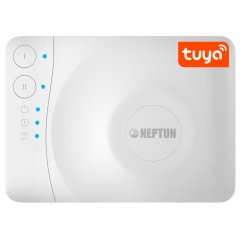 *100035901100 (2264865) Neptun Модуль управления Neptun Smart Tuya