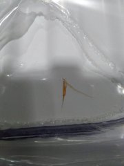 Уцененный товар (потертость на тыльной панели): Стальной панельный радиатор ROMMER Ventil 21/500/700 нижнее правое подключение, RRS-2020-215070