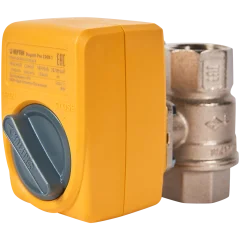 Кран с электроприводом Neptun Bugatti Pro 220В 1